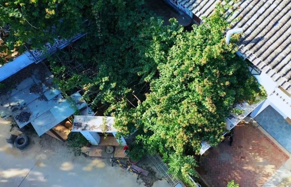 金龟村_金龟村_金龟村