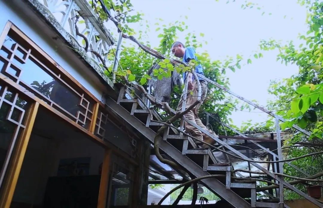 金龟村_金龟村_金龟村