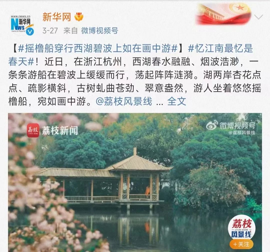 白鹿_白_白敬亭