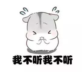 sounds是什么意思_sounds_soundsgood