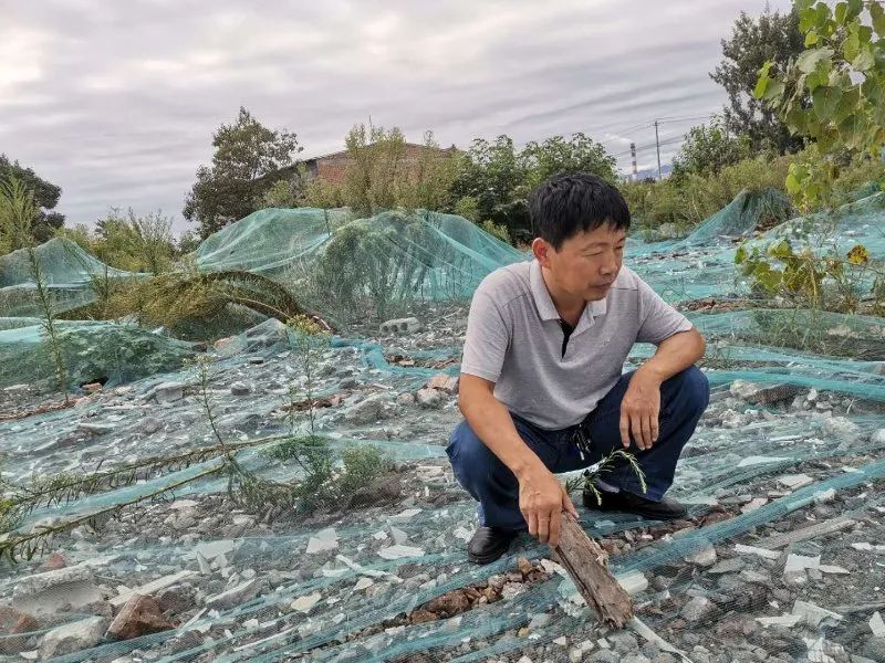 欺下瞒上的典故_欺瞒上下成语有哪些_欺上瞒下