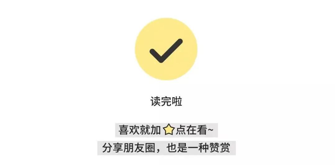 parrots翻译_parrots_parrots怎么读