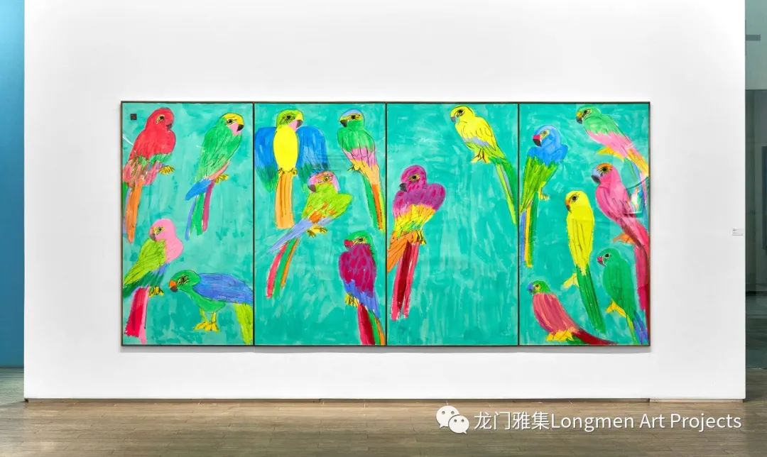parrots怎么读_parrots_parrots翻译
