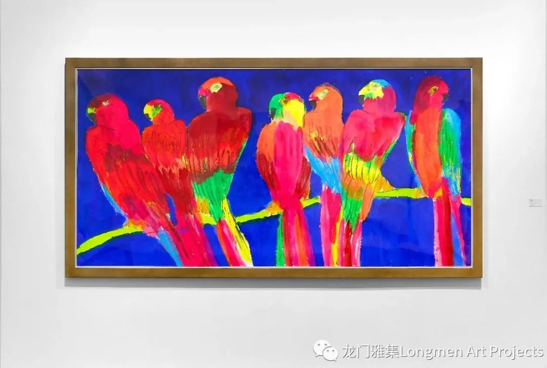 parrots翻译_parrots_parrots怎么读