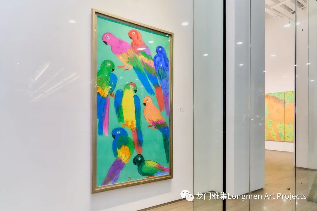 parrots_parrots翻译_parrots怎么读