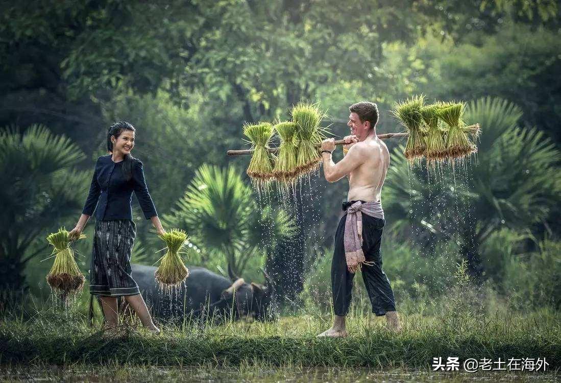 貌美如花_貌美如花的出处_貌美如花解释