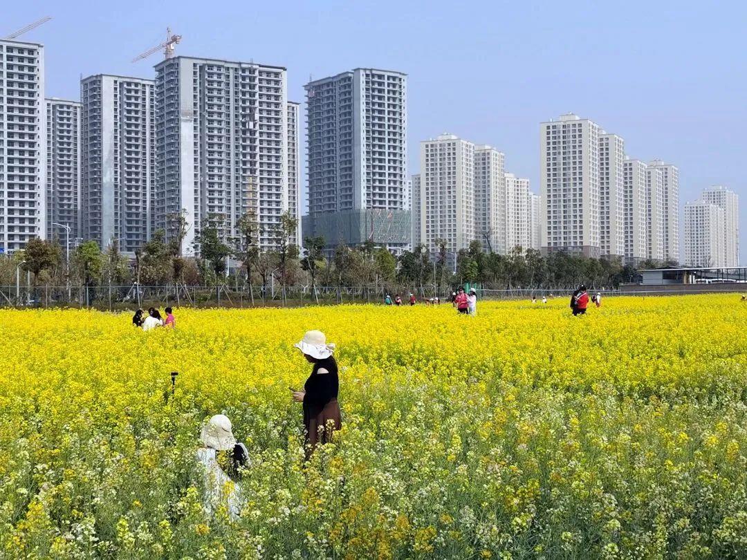 2023年3月15日_2024年是不是闰月年_月年2023年