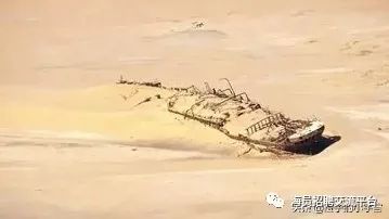 白骸all骸_骸_白骸纲骸