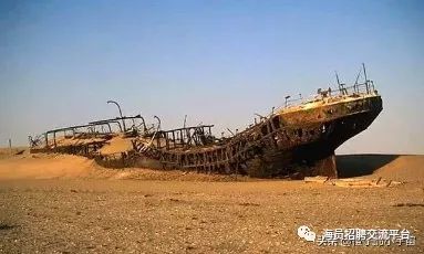 白骸纲骸_白骸all骸_骸