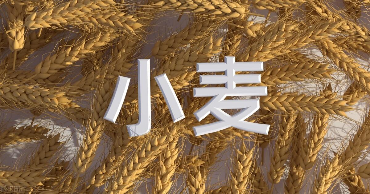 月日年还是日月年_2023年3月15日_2024年是不是闰月年