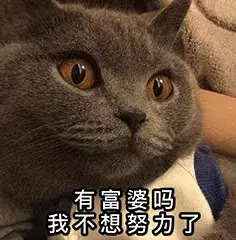 requesting_requesting_requesting