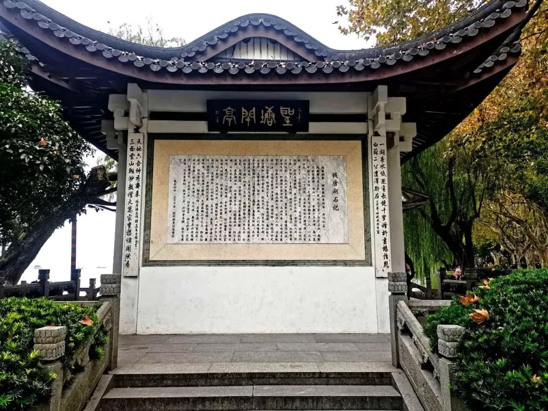 湖西子妹制造人是谁_湖西子妹制造人_西子湖