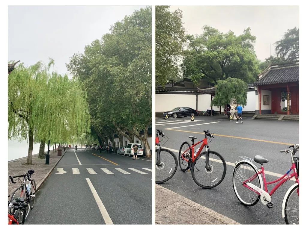 西子湖_湖西子奶茶_湖西子妹制造人