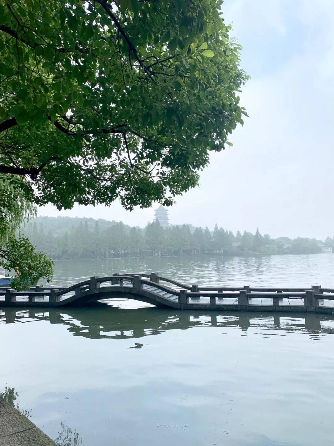 西子湖_湖西子奶茶_湖西子妹制造人
