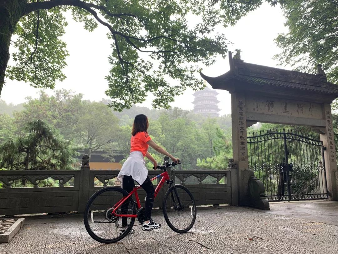 湖西子奶茶_湖西子妹制造人_西子湖