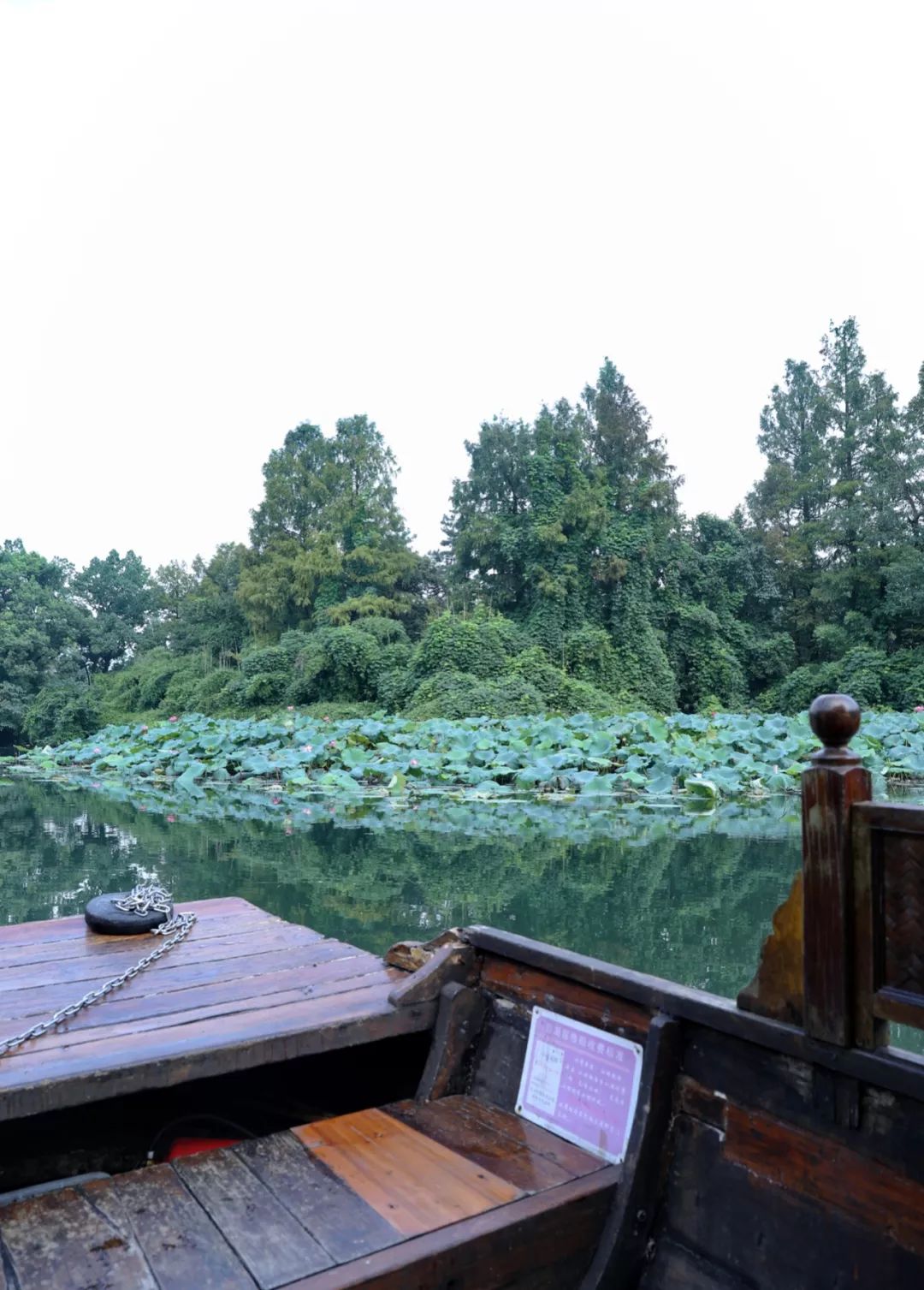 湖西子奶茶_西子湖_湖西子妹制造人