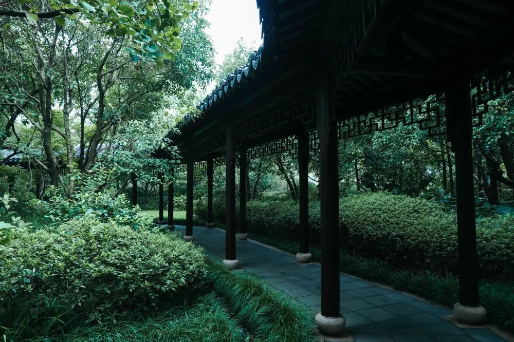 西子湖_湖西子妹制造人_湖西子奶茶