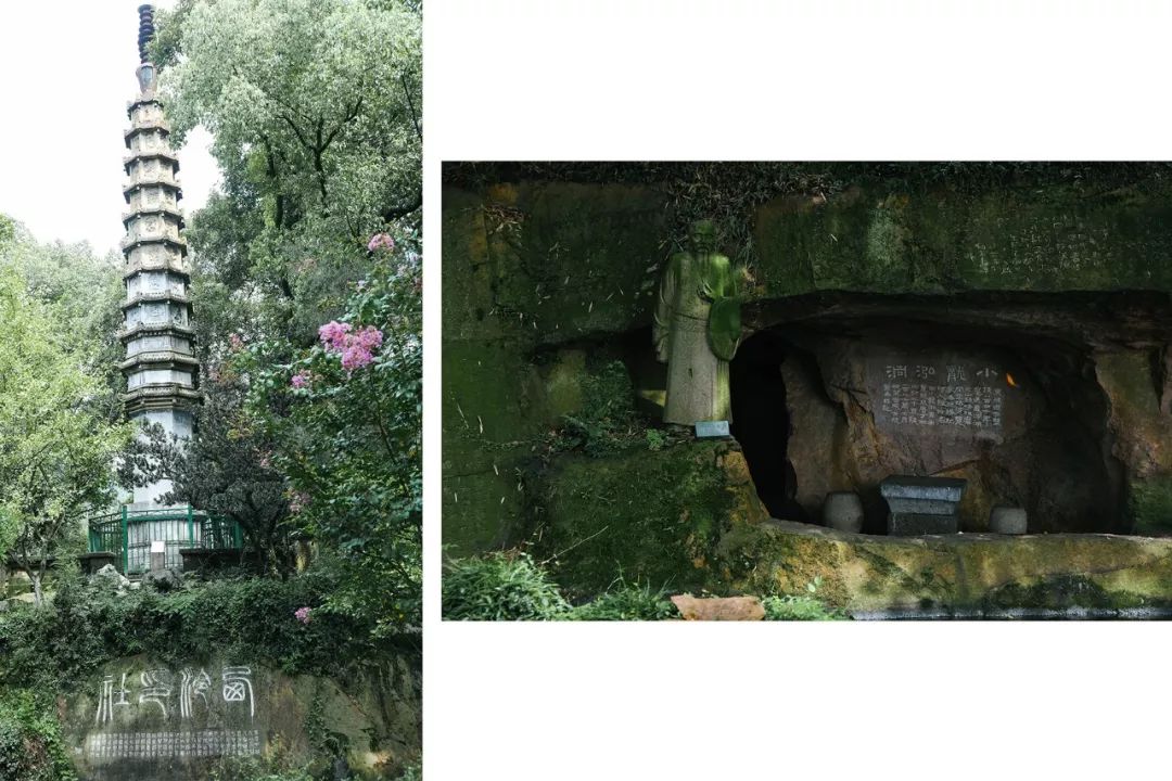 湖西子妹制造人_湖西子奶茶_西子湖