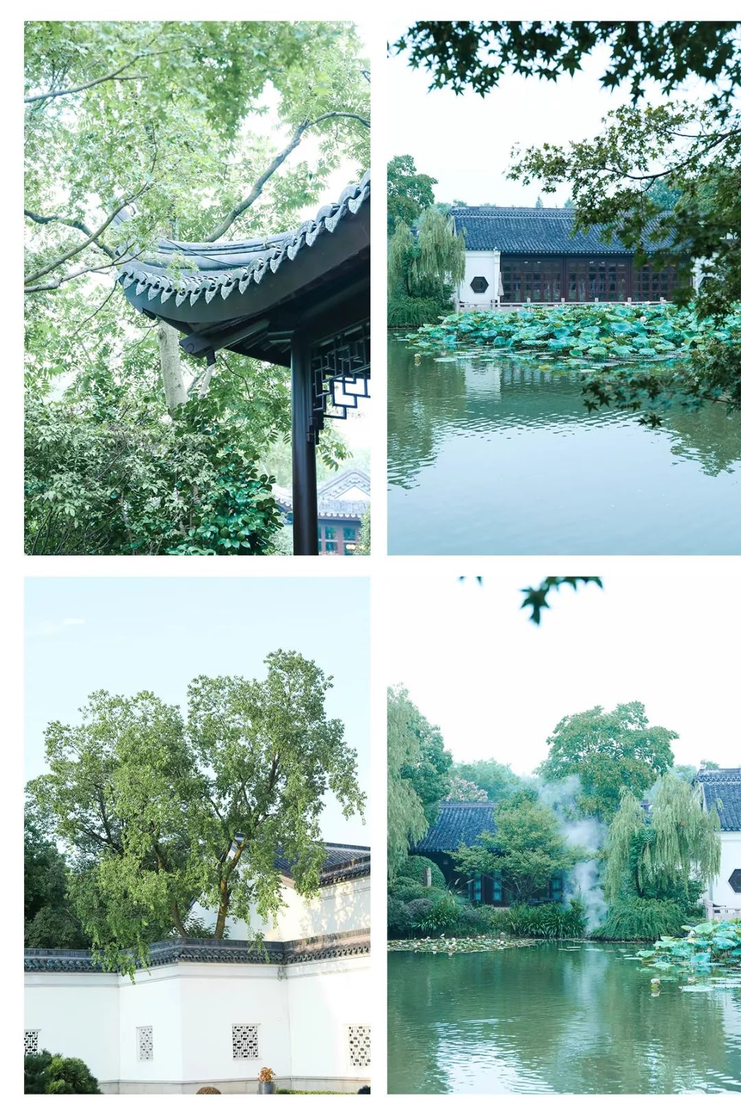 西子湖_湖西子奶茶_湖西子妹制造人