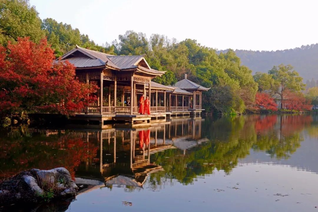 湖西子妹制造人是谁_湖西子妹制造人_西子湖