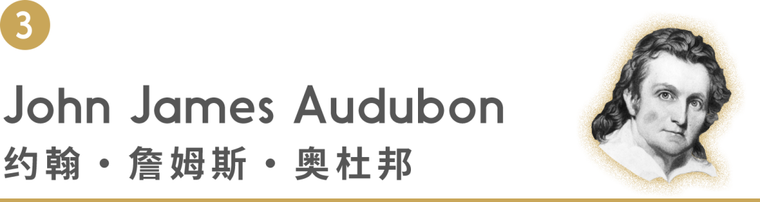 guesses的音标_guesses怎么读_guesses