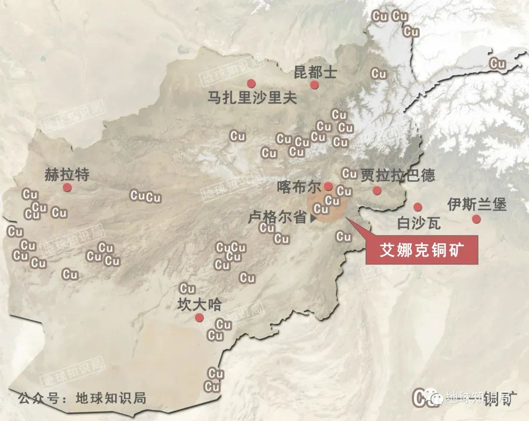 依存度_度依存的_依存度