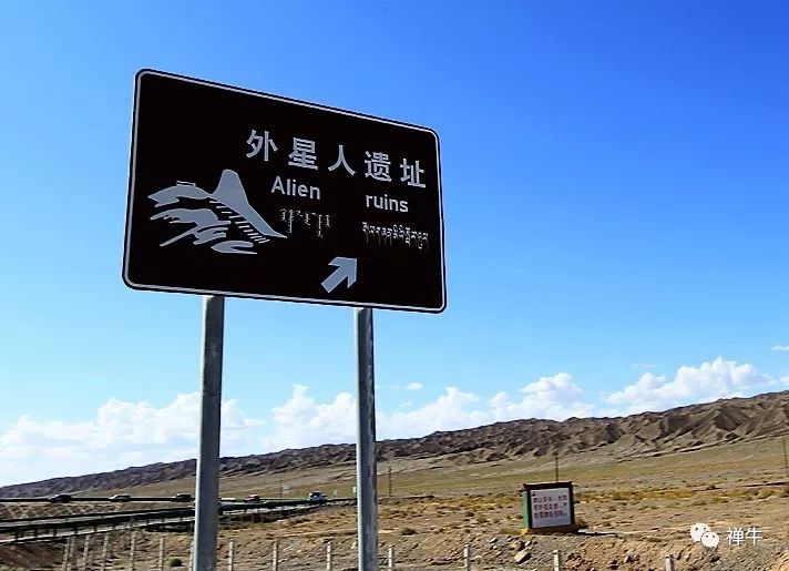 可鲁克湖_可鲁克湖照片_可鲁克湖鸟类