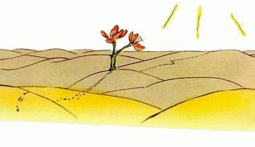 hides怎么读_hides是什么意思_hides