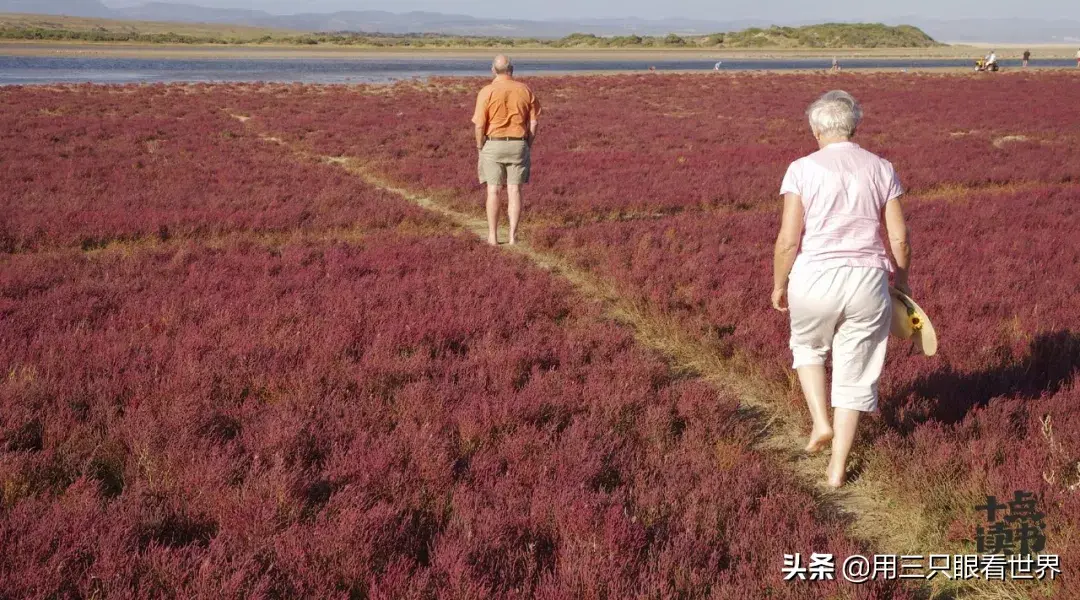 满平一家人_三平二满_满平定收吉是哪几个