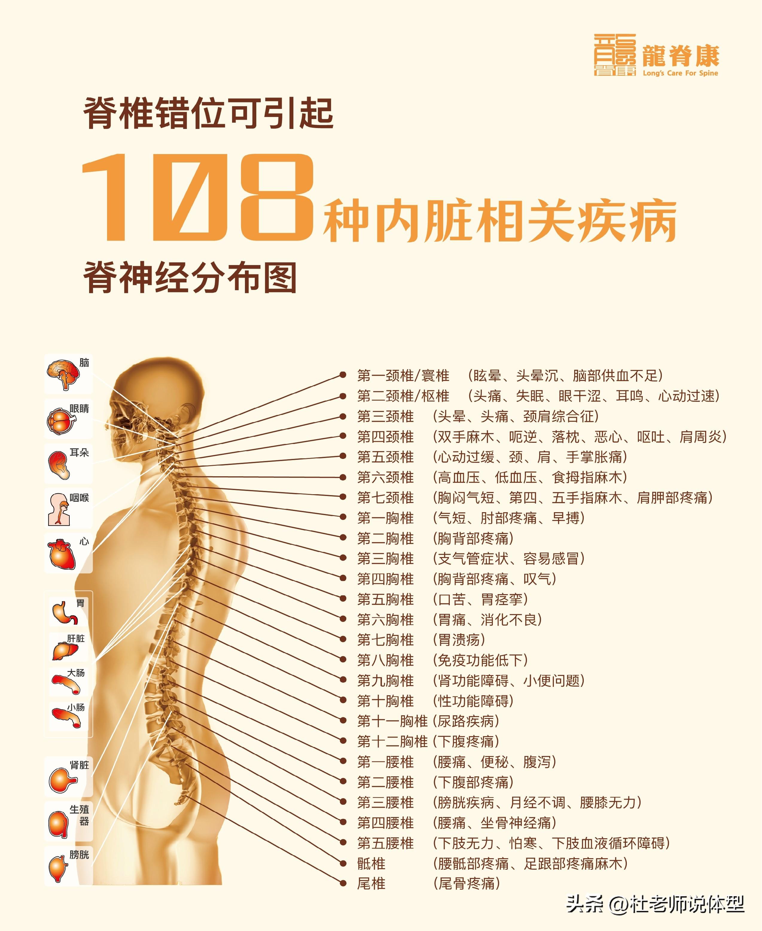 耸_耸的组词_耸怎么读