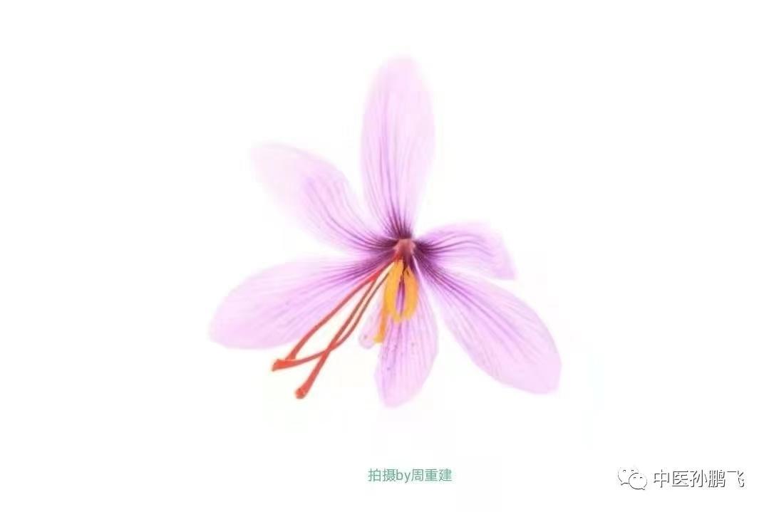 耸的组词_耸怎么读_耸