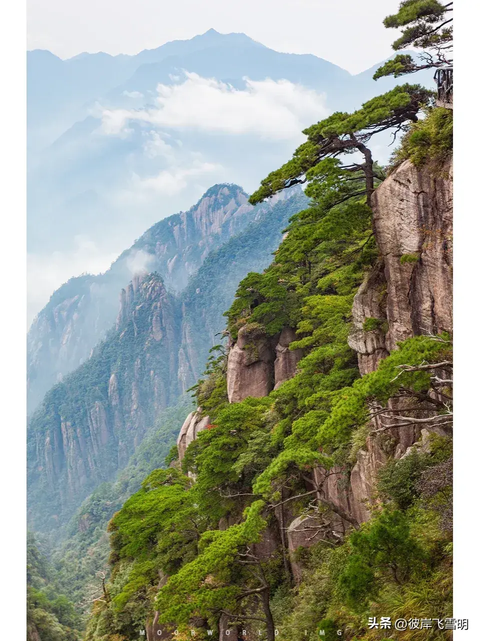 耸怎么读_耸的组词_耸