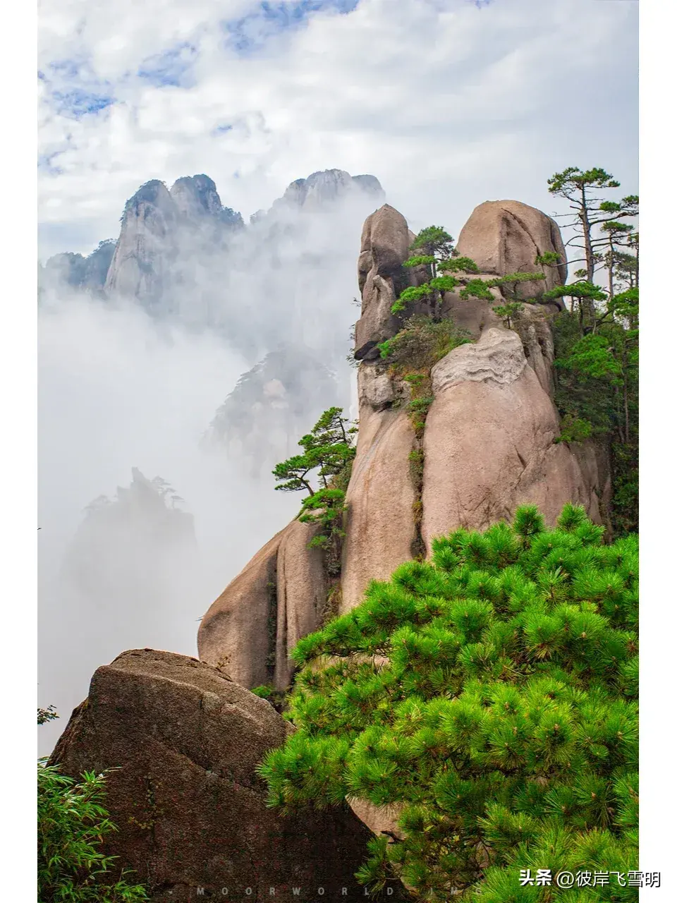 耸怎么读_耸_耸的组词