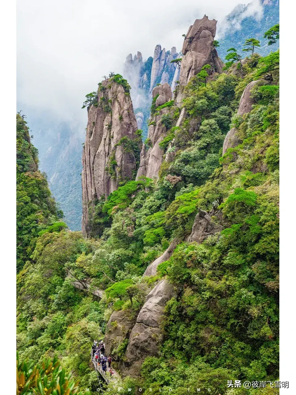 耸_耸的组词_耸怎么读