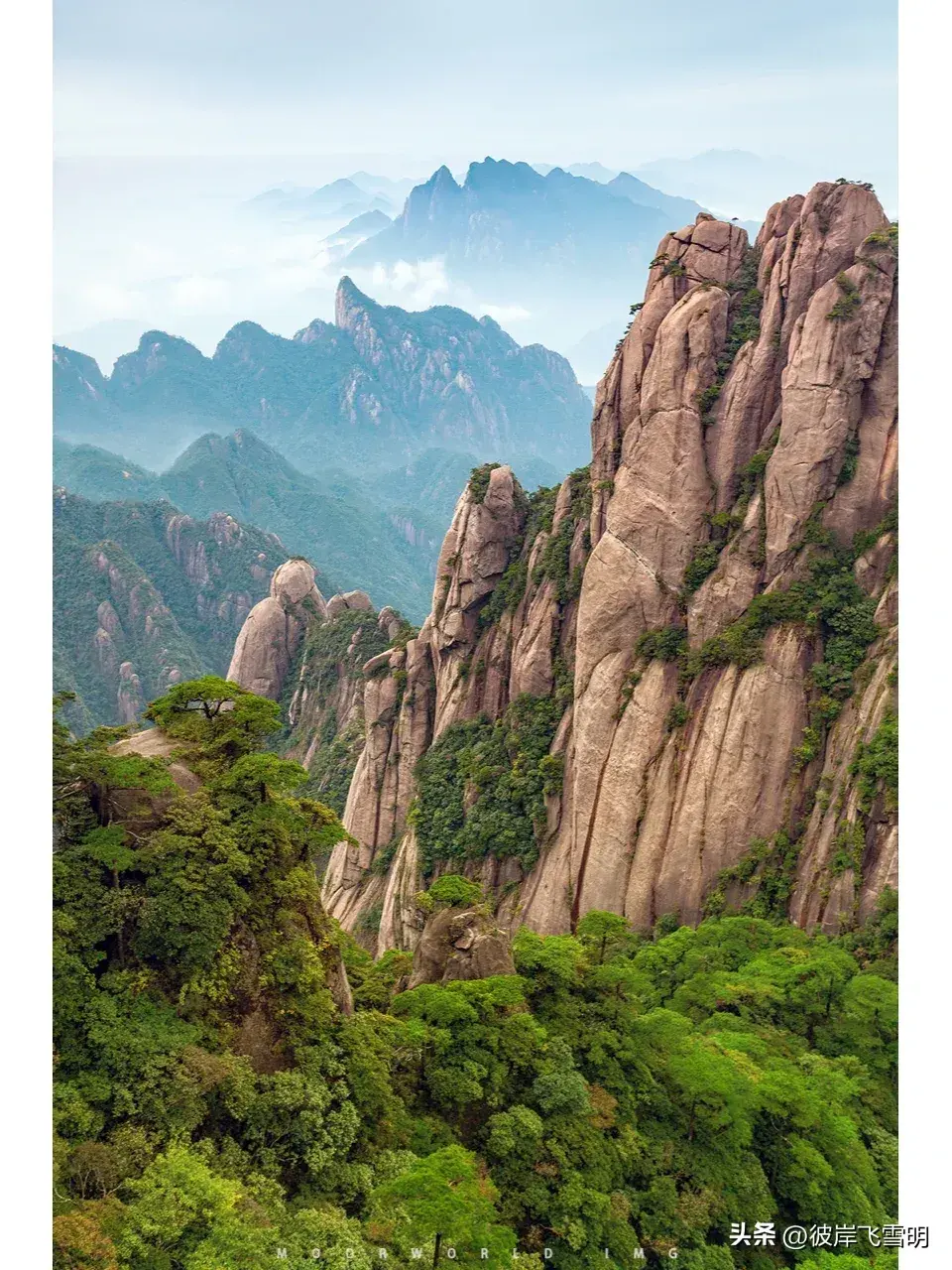 耸怎么读_耸_耸的组词