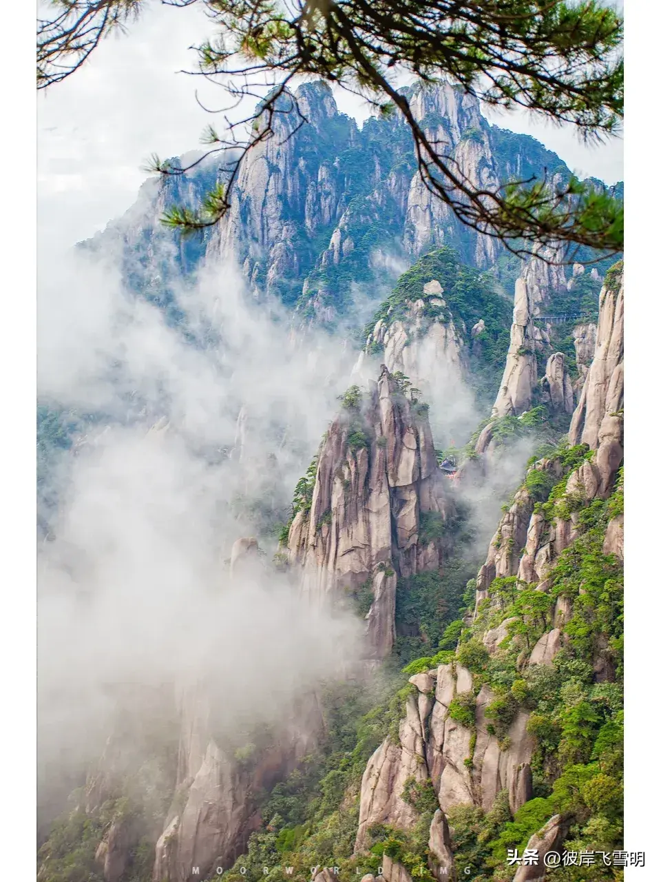 耸的组词_耸_耸怎么读
