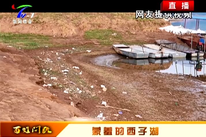 西子湖_湖西子奶茶_湖西子妹制造人