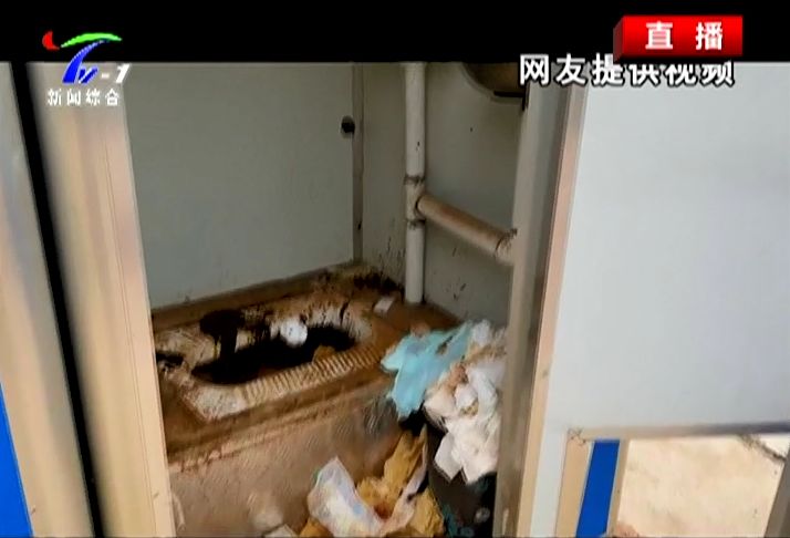 湖西子妹制造人_湖西子奶茶_西子湖