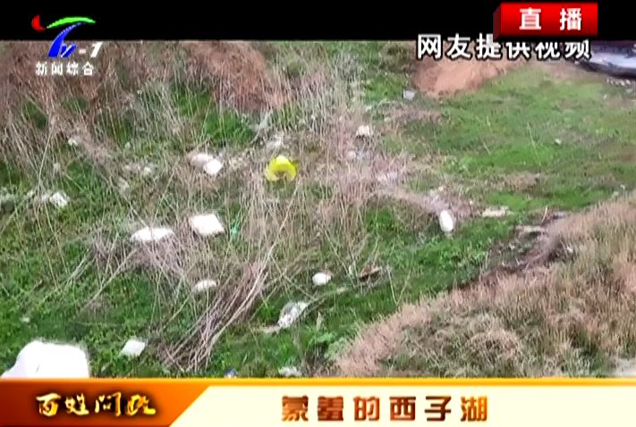 西子湖_湖西子奶茶_湖西子妹制造人