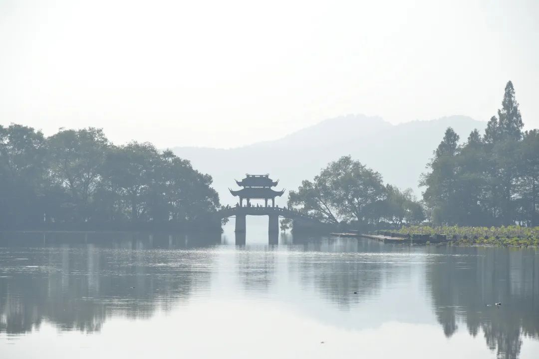 湖西子奶茶_西子湖_湖西子妹制造人