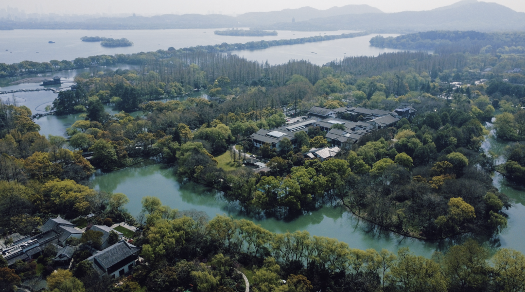 湖西子妹制造人_湖西子妹制造人是谁_西子湖
