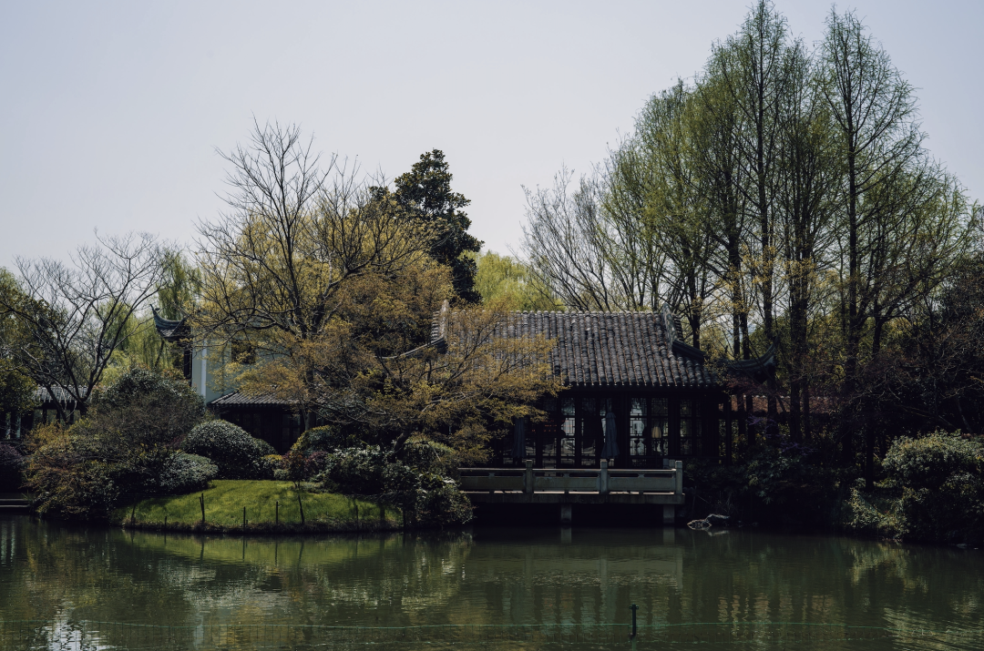西子湖_湖西子妹制造人是谁_湖西子妹制造人