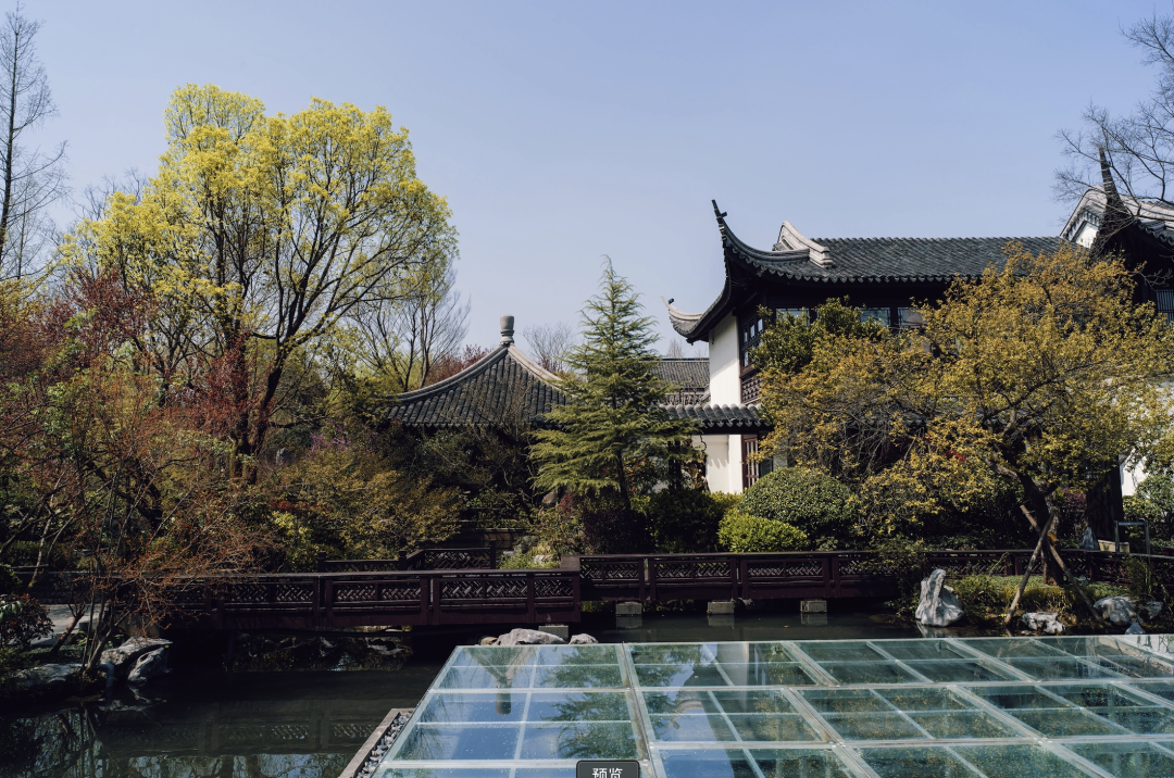 湖西子妹制造人是谁_西子湖_湖西子妹制造人