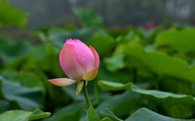 避实就虚_根之罅实以虚壤_避虚实的成语