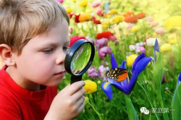 curiosity英语怎么读_curiosity翻译_curiosity