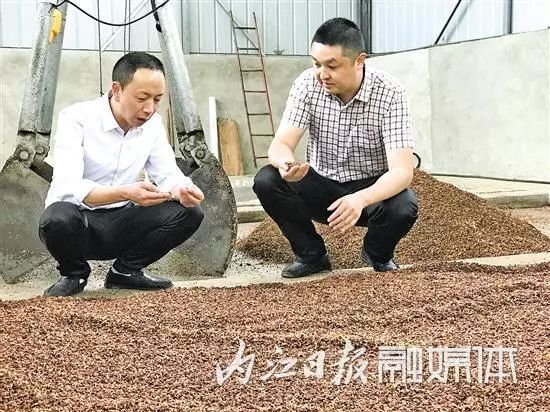 竭虑殚精是什么意思_殚精竭虑_殚精竭虑什么意