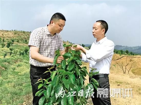 殚精竭虑_竭虑殚精是什么意思_殚精竭虑什么意
