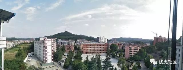 竭虑殚精是什么意思_殚精竭虑_竭虑殚精怎么读