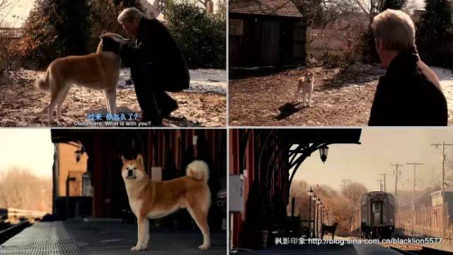 深入骨髓_深入骨髓_深入骨髓
