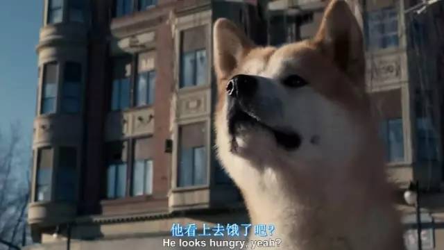 深入骨髓_深入骨髓_深入骨髓